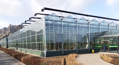中国敕勒川现代农业产业园30000平米智能连栋玻璃温室