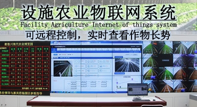 设施农业物联网系统